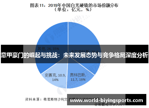 意甲豪门的崛起与挑战：未来发展态势与竞争格局深度分析