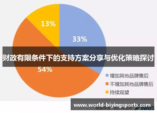财政有限条件下的支持方案分享与优化策略探讨