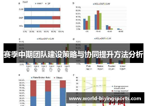 赛季中期团队建设策略与协同提升方法分析